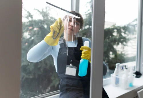 Nettoyage de vitres intérieures et extérieures à Paray-Vieille-Poste